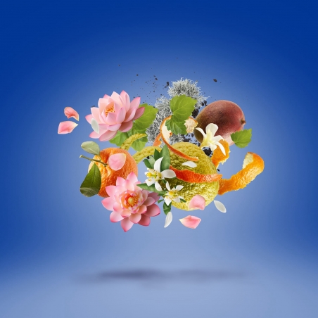 نت عای عطر زرجوف تورینو ۲۴ 1