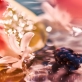 عطر روژا الیسیوم زنانه 2
