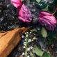 رایحه ی عطر لویی ویتون الوس 1